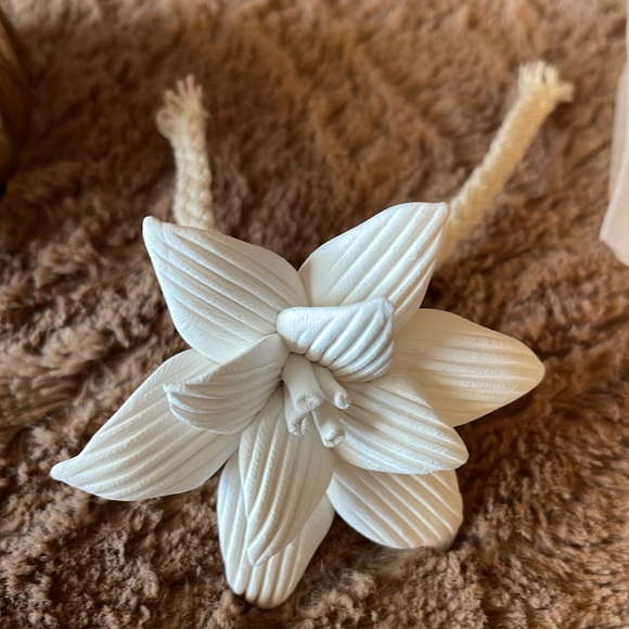 Bluzen Succulent Stone Diffuser. Beautiful gold and white. Ceramic rope wicker. - Picture 8 of 12